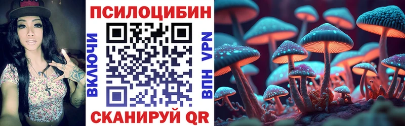 Купить где  Новосиль  Псилоцибиновые грибы мухоморы 