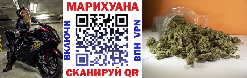 Каннабис сатива  Купить  Новосиль 